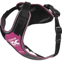 Julius-K9 K9 IDC Longwalk - pink-grå, S