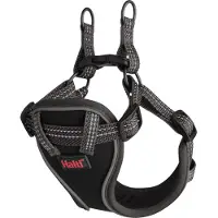 Company of animals Anatomy hvalpesele grå XX-Small