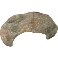 Trixie Krypdyrshulen