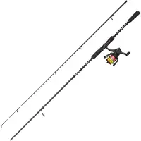 Abu Garcia Blmax Spinnende Combo