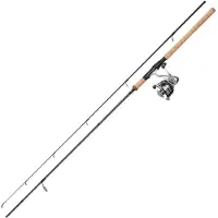Dam Impressa Classic Spinnende Combo