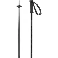 Salomon Polar Access, Skistaver, Black