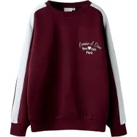 Name it Normal Passform Sweatshirt
