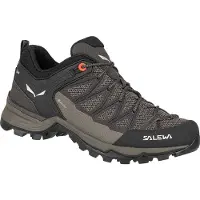 Salewa Mtn Trainer Lite Goretex Tursko
