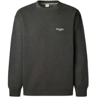 Pepe Jeans for man. PM5800031 Terry Crew sweatshirt grey (M), Casual, Cotton