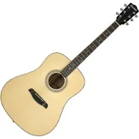 Ferndale D2 Dreadnought Natural