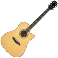 Ferndale D2-CE Dreadnought Cutaway Electro Natural