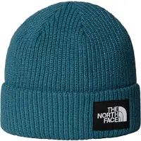 The North Face Salty Lined Lue blå