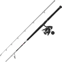 Penn Pursuit V Boat Spinnende Combo