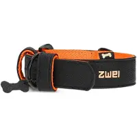 Zwei Leo Le15 Hundebånd