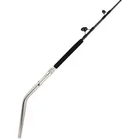 Penn Ally Ii Boat Conventional Jigging Stang