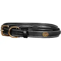 Dyon Fancy Hundehalsbånd