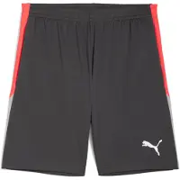 Puma Liga Shorts