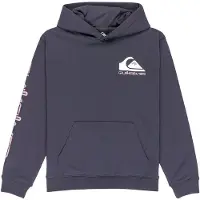 Quiksilver Omni Logo Kids Hettegenser grå