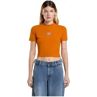 Dickies Maple Valley Kortarmet T-skjorte