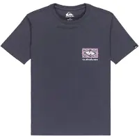 Quiksilver Evo Crisis Kids T-skjorte grå