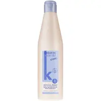 Salerm Cosmetics Keratin Shot Maintenance 500ml Fargebevarende Sjampo