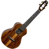 Flight Spirit All Solid Concert Ukulele