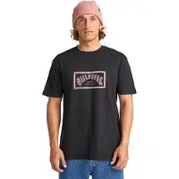 Billabong Arch Frame Kortarmet T-skjorte