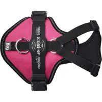 JULIUS K-9 Longwalk Light Hundesele
