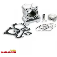 MALOSSI Aluminium Rieju Marathon Pro 125 Sylinder