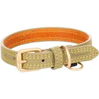 Flamingo Virginia Hundehalsbånd