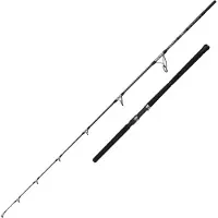 Penn Ally Ii Offshore Jigging Stang