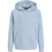 Jack & Jones Brandes Relaxed Hettegenser