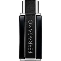 Ferragamo Sublime Leather Vapo 100ml Eau De Parfum