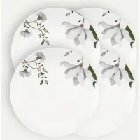 Fyrklövern Clematis asjett 21 cm 4-pk