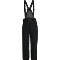 Spyder Boundary Gore-tex Bukser