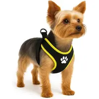 Flamingo Step&go Tasha Hundesele