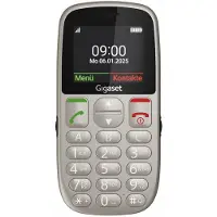 Gigaset GL395 Dual Sim Silver