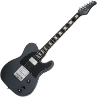 Schecter PT EX Baritone Dorian Gray