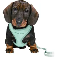 Trixie Junior puppy soft sele m. line, 26–34 cm/10 mm, 2 m, mint