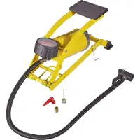 Dunlop verkstedpumpe 174Psi (12Bar)