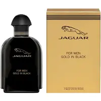 Jaguar Classic for Men Gold In Black Edt 100ml