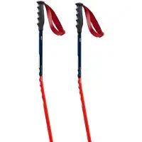Swix World Cup Pro Donwhill Spaserstokker