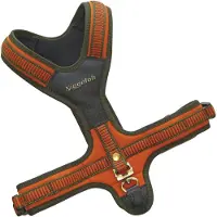 Niggeloh sporsele Follow Orange M