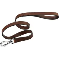 Ferplast Cuero Toro Vip Hundebånd 12 Mm 100 Cm