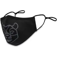 Dakine Mission Ansiktsmaske