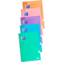 Oxford Hamelin 4x4 Rutenøtter 80 Ark Pakke Med 4+1 Farger