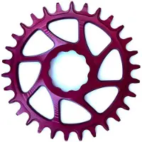 Garbaruk S-works Kjettingring
