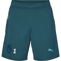 Puma Manchester City 25/26 Shorts Men, Sport, Green Terrain, 3XL