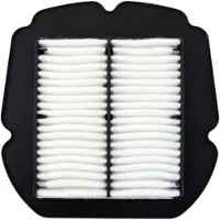 Champion Suzuki Sfv 650 Caf2618 Luftfilter