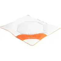 Feng Shui Økologisk hodepute - Babypute - gåsedunpute - barnepute 40x45 cm - Svanemerket -