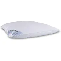 Zen Sleep Moskus dunpute - Mellom 3-kammers hodepute - 50x60 cm -