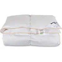 Borg Living Gåsedunsdyne - Helårsdyne med 100% dun - 140x200 cm -