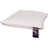 Borg Living Hodepute med moskusdun - 3-kammer pute - Mellom - 60x63cm -