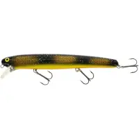 Westin Jätte 23 cm Floating Goldwing